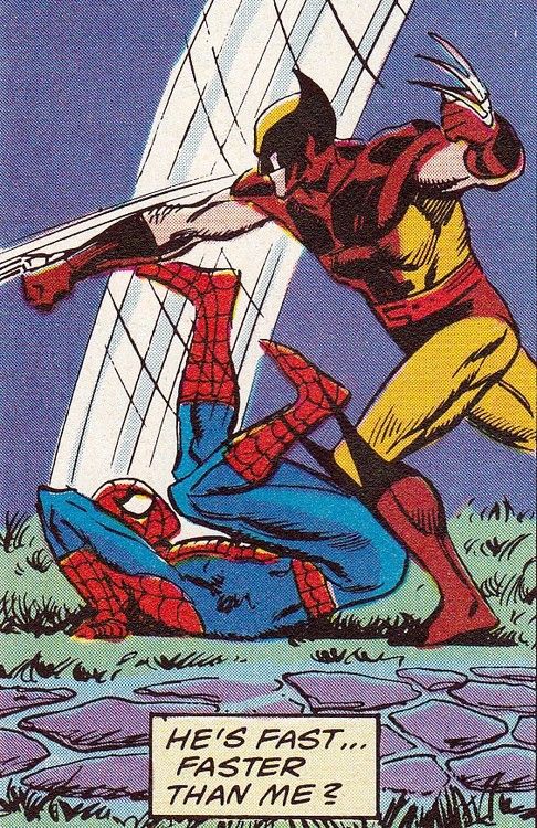 Spiderman vs Wolverine: Web vs Claw - Comic Fan Club