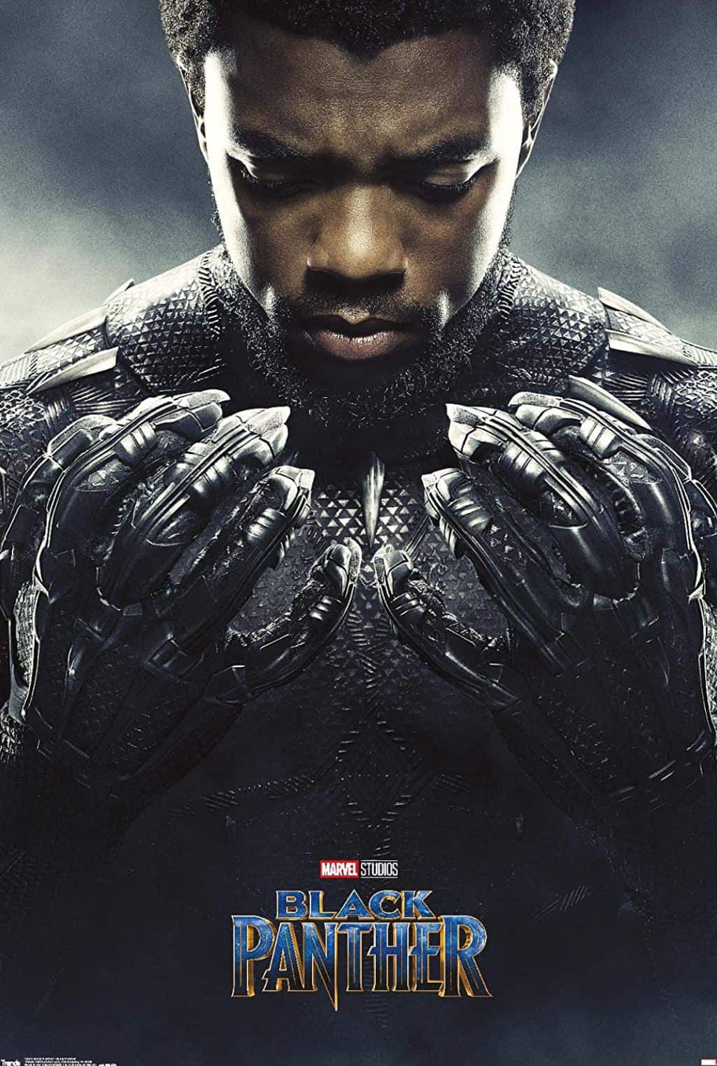 Trends International Marvel Cinematic Universe Black Panther