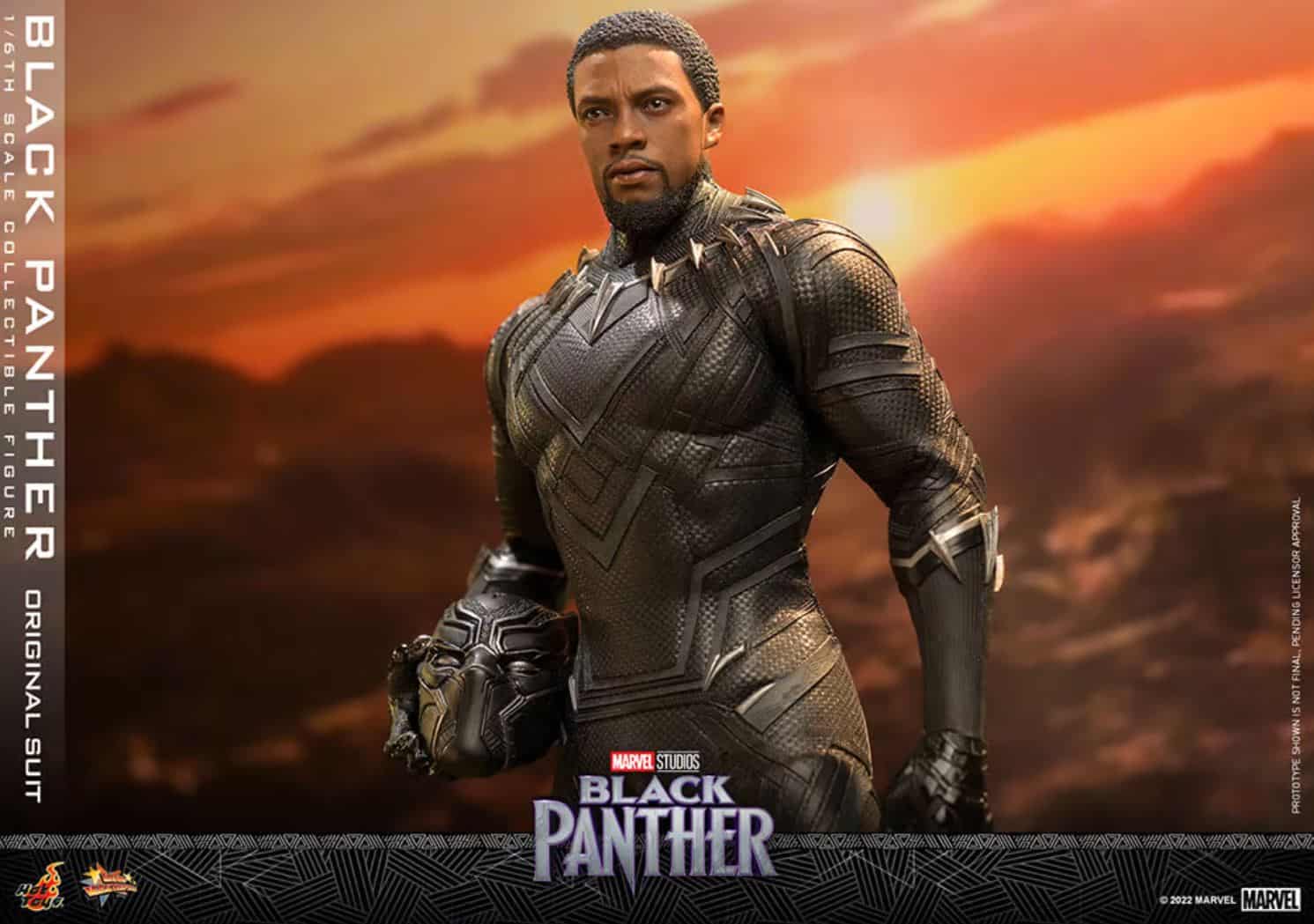 Black Panther Original Suit